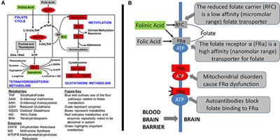 Comparison of Treatment for Metabolic Disorders Associated with Autism:Reanalysis of Three Clinical Trials